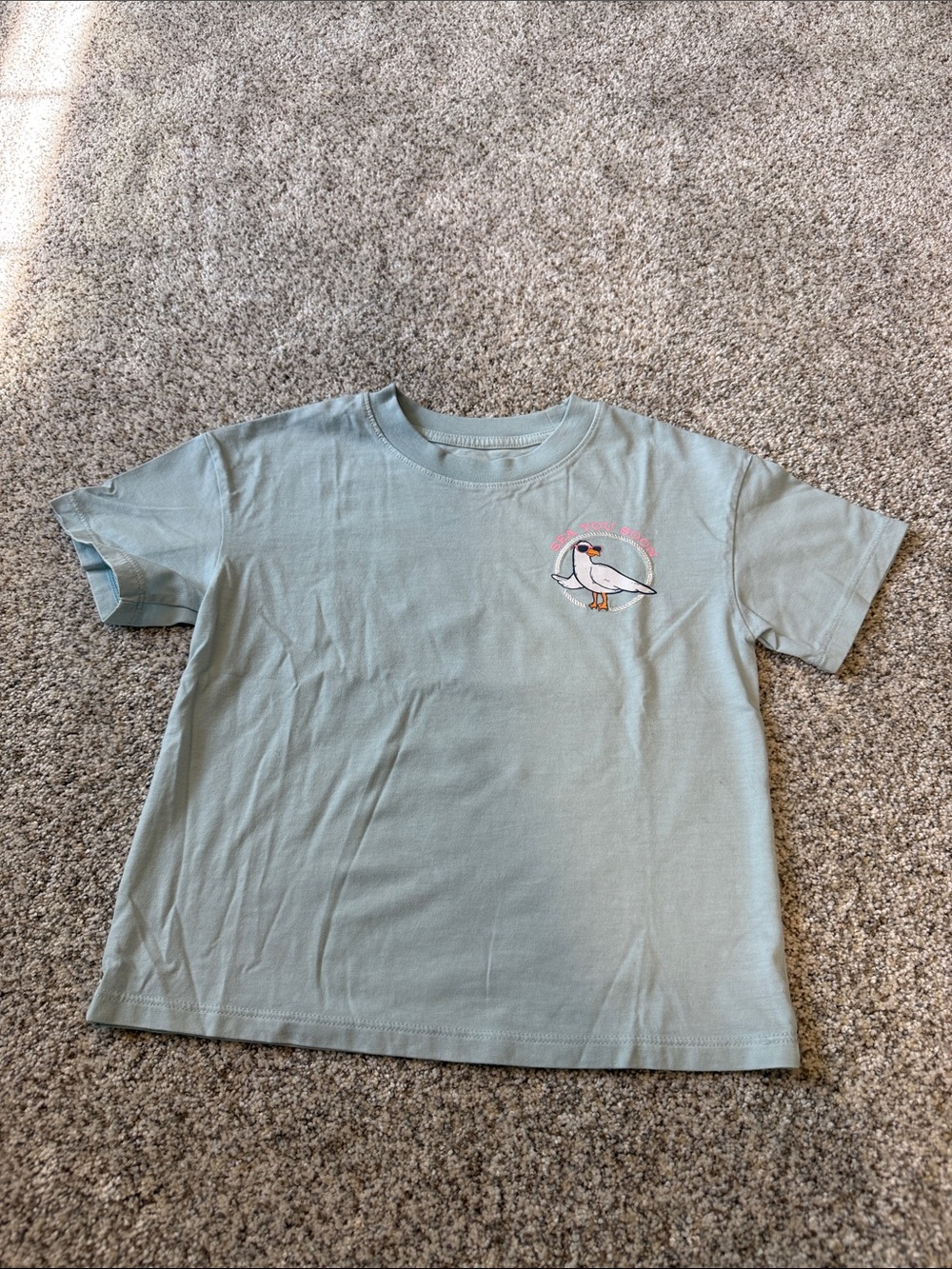 Cat & Jack Light Sage Seagull Chest Graphic Tee - 5T